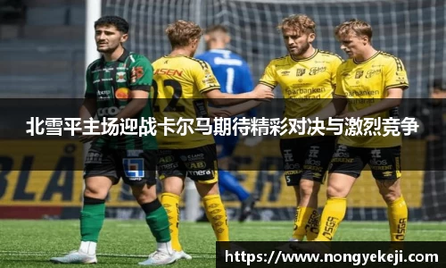 北雪平主场迎战卡尔马期待精彩对决与激烈竞争